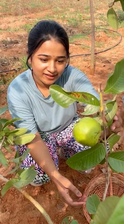 lyrist-snehan-kannika-photos